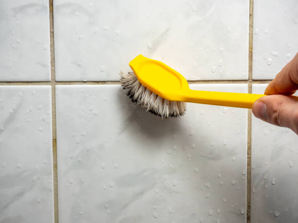 Best Best Mold Removal Companies  in Fort Lupton, CO