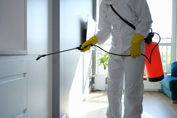 Best Home Mold Removal  in Fort Lupton, CO